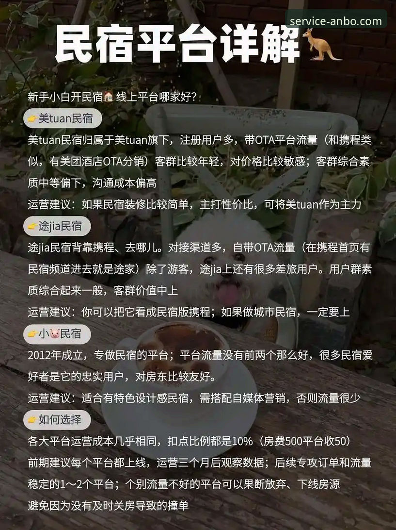 安博中国官方网站哪个好？老用户教你如何选对平台的新手指南